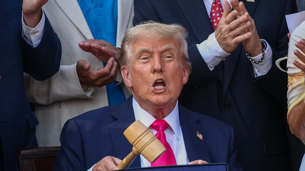 Democrats call for violence to counter Trump agenda and tell lawmakers to prepare to 'get shot'