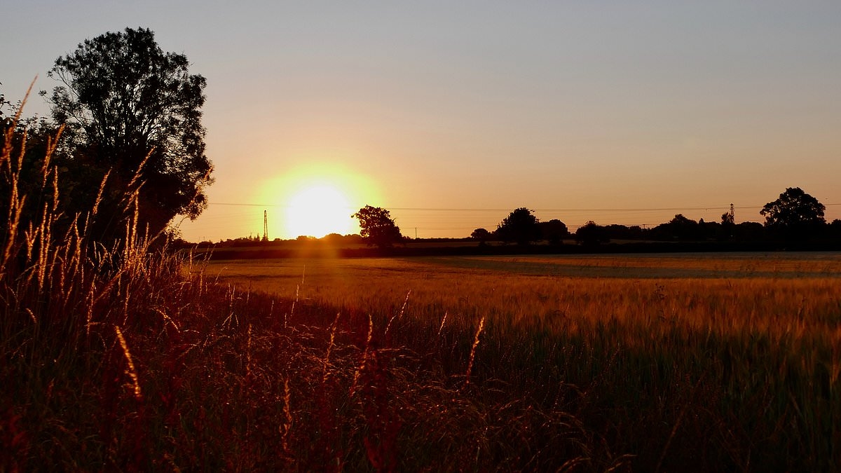 Temperatures to reach 25C today in UK ahead of third heatwave beginning tomorrow - as Yorkshire Water announces hosepipe ban from Friday