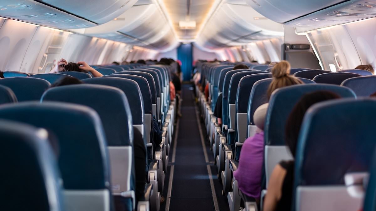 American Airlines passenger forced to crawl off flight due to humiliating oversight