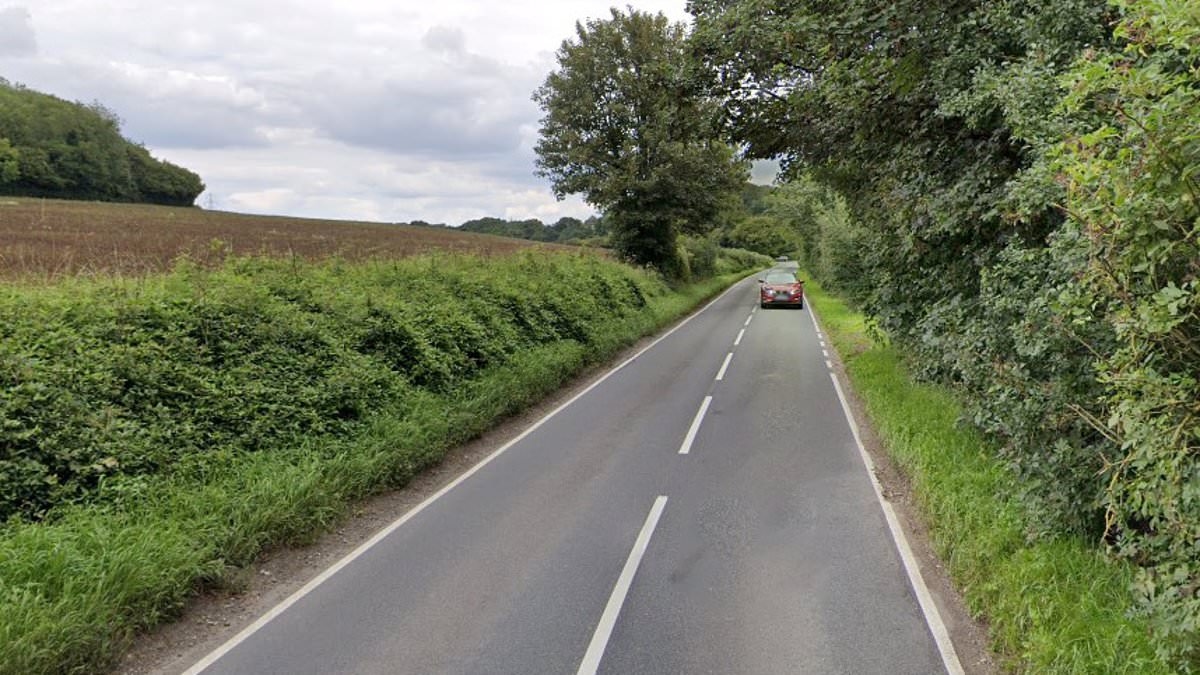 BREAKING NEWS Schoolboy, 14, dead after being hit by car towing trailer: Man, 24, arrested after 'killing young pedestrian while unfit through drugs'