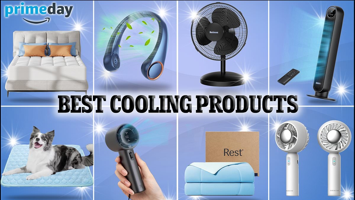 The 23 best Amazon Prime Day deals on cooling products - fans, sheets, pillows, and even dog vests, starting at $13