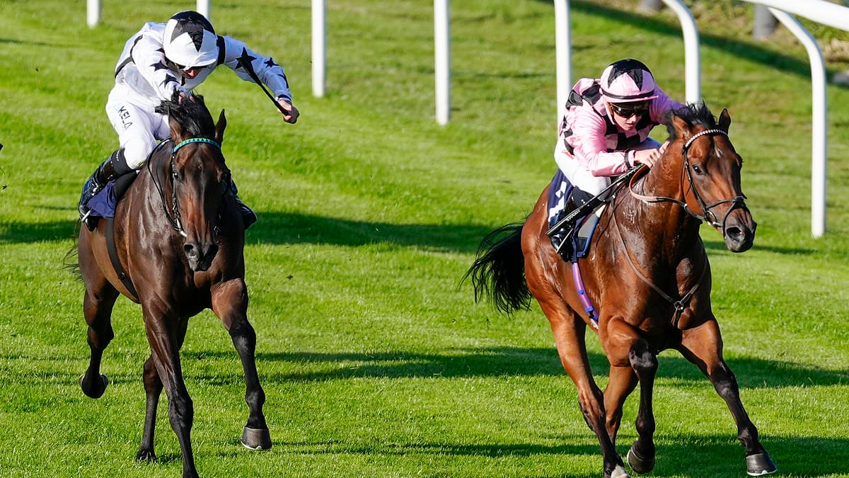 Robin Goodfellow's racing tips: Best bets for Wednesday, July 9