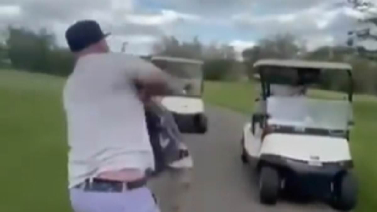 Former hockey player punches rival golfer and throws him into a lake during brutal on-course fight