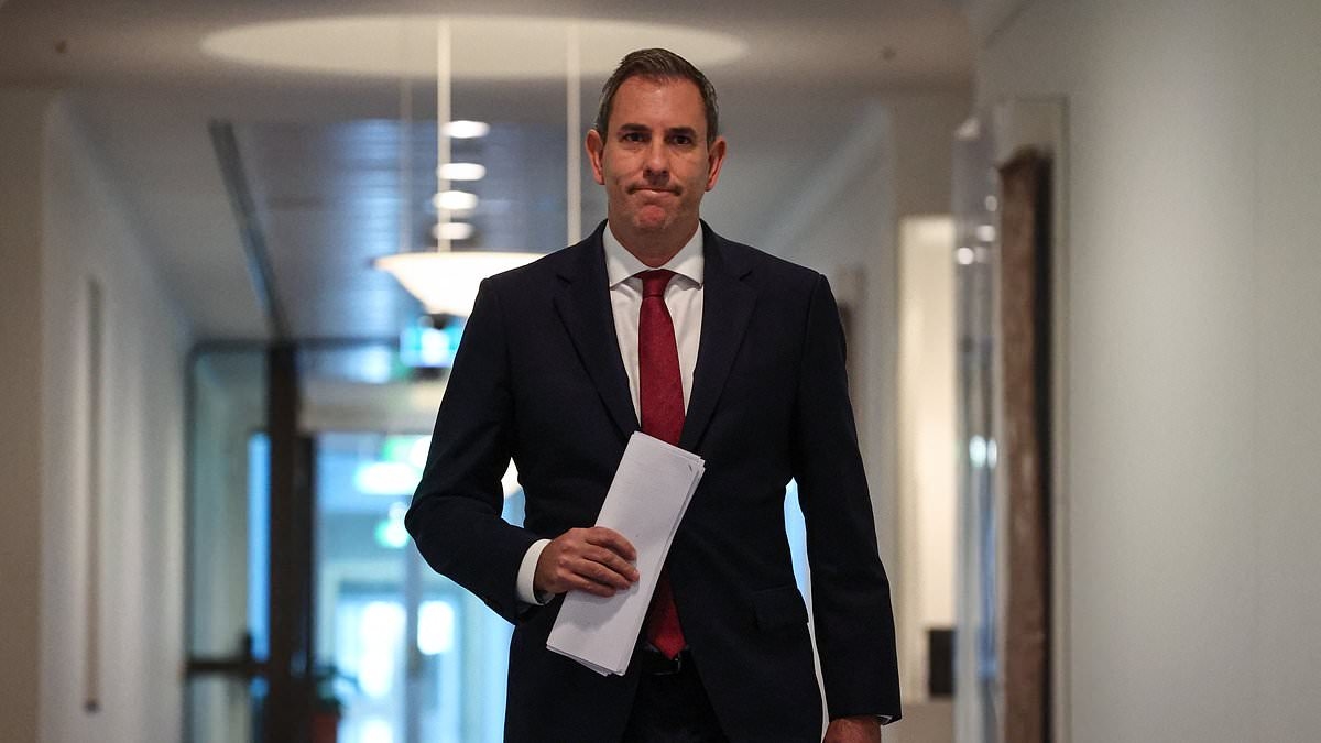 Jim Chalmers' worrying admission about interest rate cuts that should have every Aussie afraid as faceless RBA bureaucrats decide fate for millions