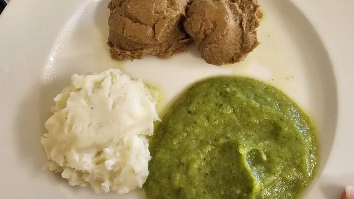 Would you be happy for your gran to eat this? Disturbing 'slop' photo from Aussie aged care home sparks uproar - with a celebrity coming under fire