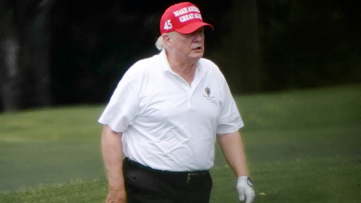 Iran 'could blast Trump with a drone 'in the navel while sunbathing at Mar-a-Lago', official warns'