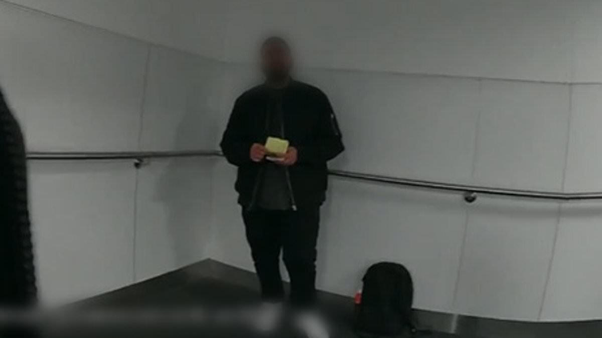 Airline passenger is charged after allegedly indecently touching sleeping woman on flight from LA to Australia