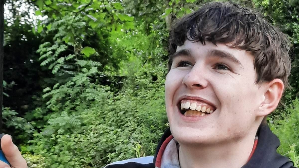 EXCLUSIVE Man, 24, drowns in nine inches of water in 'freak paddling pool accident' during heatwave