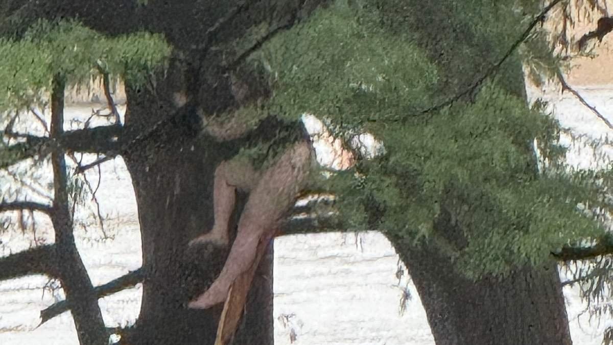 EXCLUSIVE I clung to a tree for hours to survive monster Texas floods... now I'm haunted by the friends I saw swept to their deaths