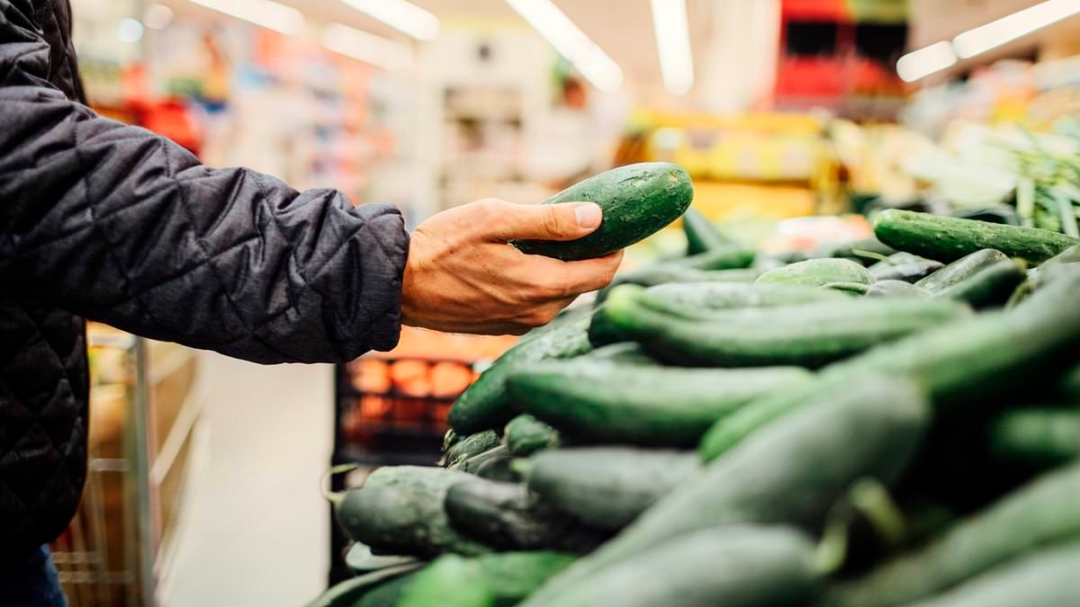 FDA issues urgent recall for cucumbers contaminated with deadly bacteria salmonella