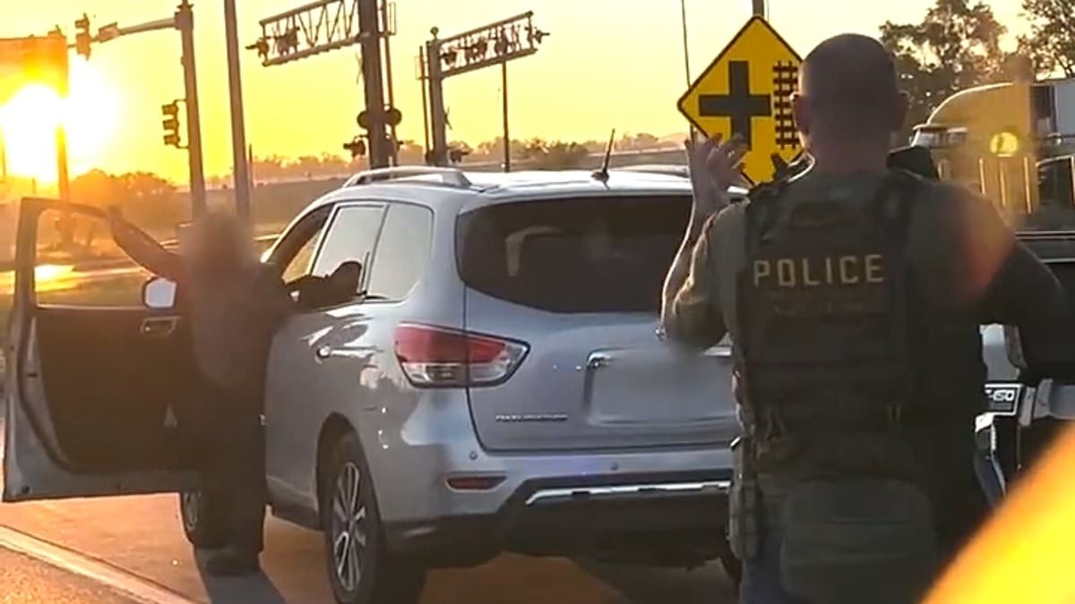 Dangerous MS-13 gang kingpin wanted for FIVE murders is caught by ICE hiding out in US city