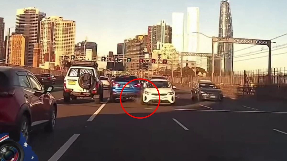 Footage emerges of terrifying crash that brought the Sydney Harbour Bridge to a standstill - as collision reignites calls for huge change