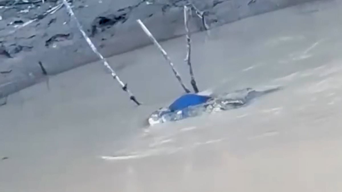Horrifying moment crocodile carries teen's body away in its jaws after attack