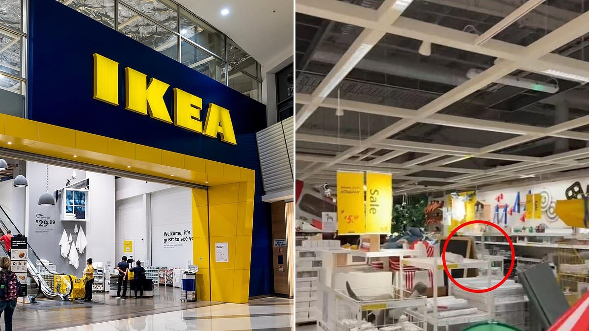 Why a $1.50 IKEA item is flying off shelves across Australia - and boasts hundreds of rave five-star reviews