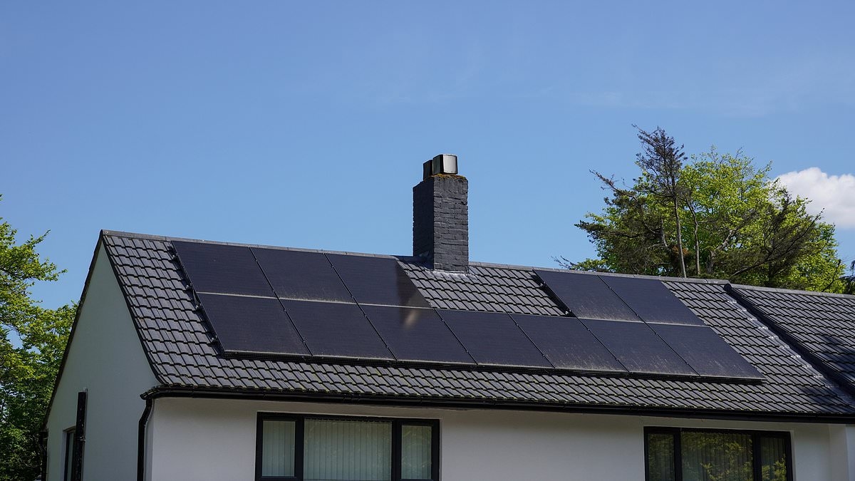 How thousands of households paid almost nothing for their electricity bills last year