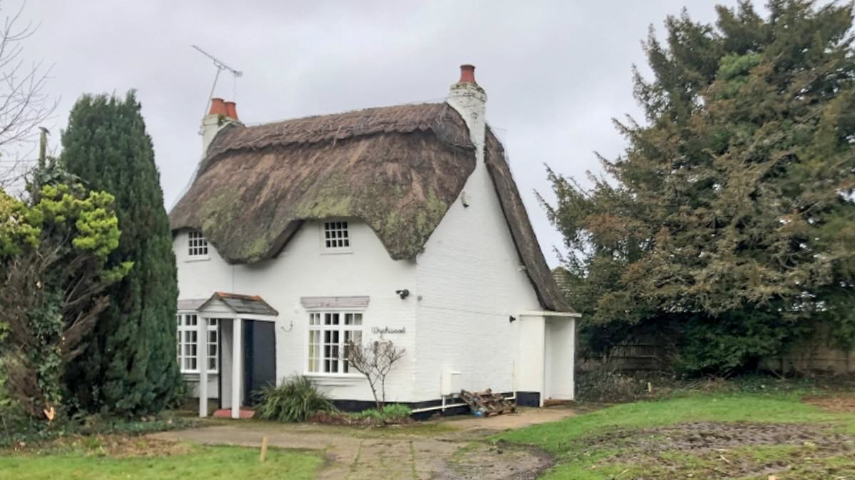 EXCLUSIVE 'We thought they were rethatching the cottage - then the digger arrived': Mystery over who employed 'rough' gang of workers to demolish 300-year-old cherished landmark