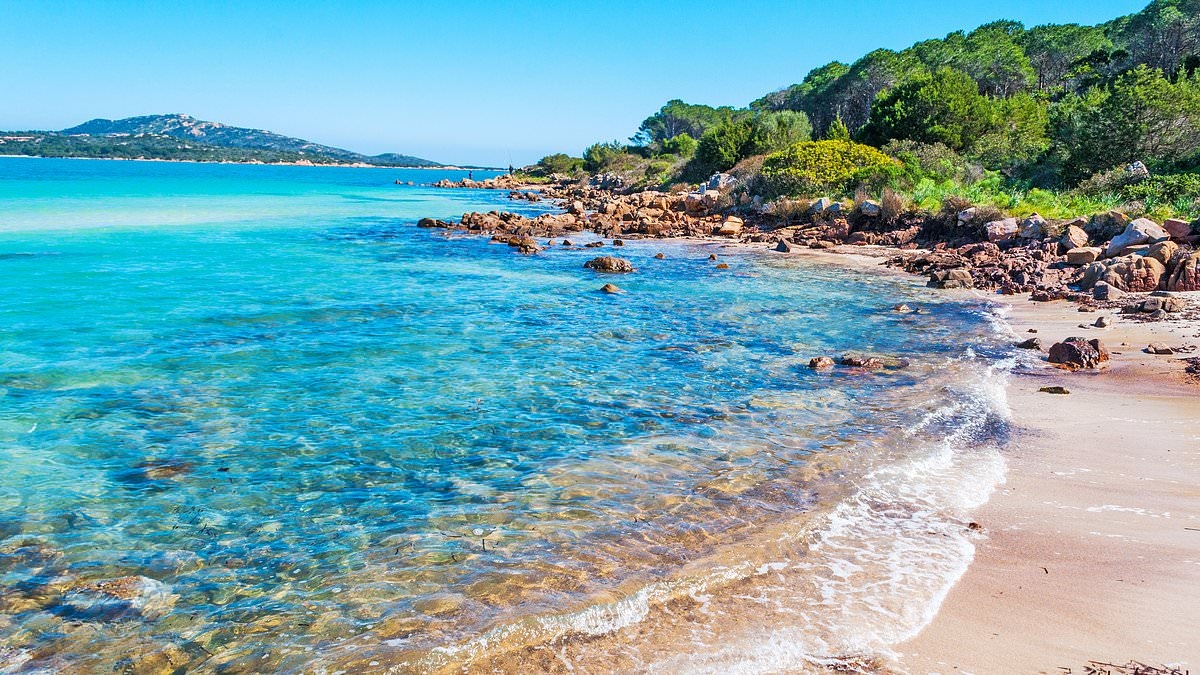 BREAKING NEWS Horror as boy, 17, suffocates to death on Italian beach after being buried alive under sand when tunnel he dug collapsed on top of him