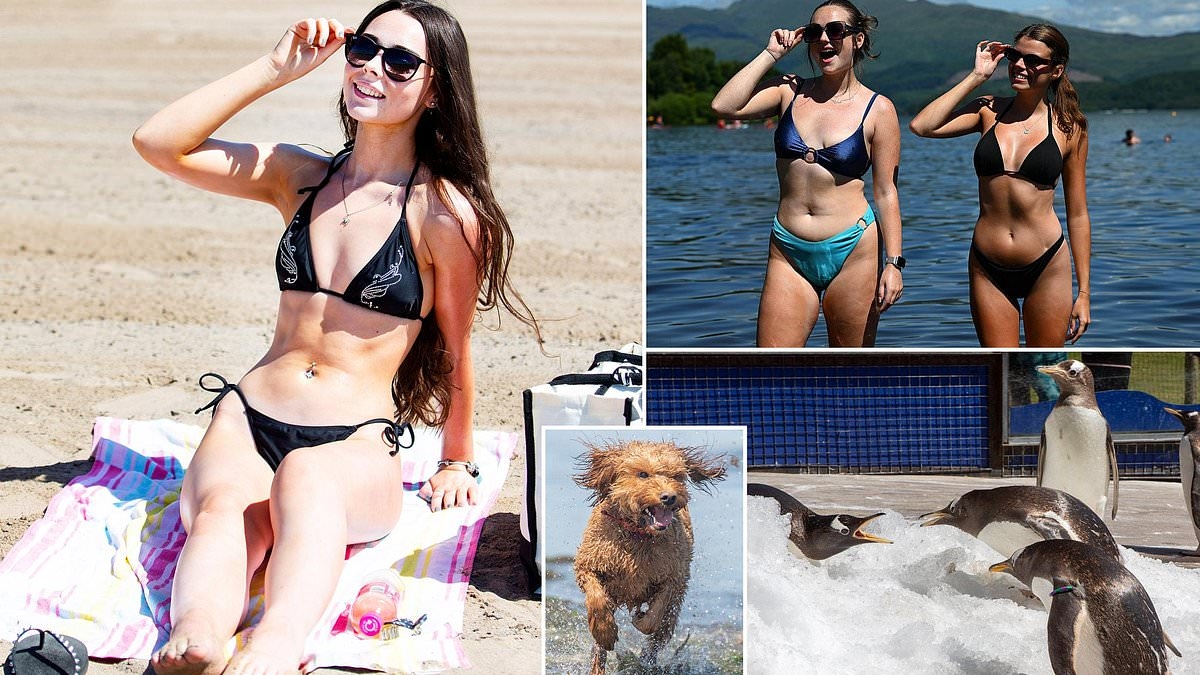Soaring temperatures bring out the sun worshippers as Scots flock to the beach
