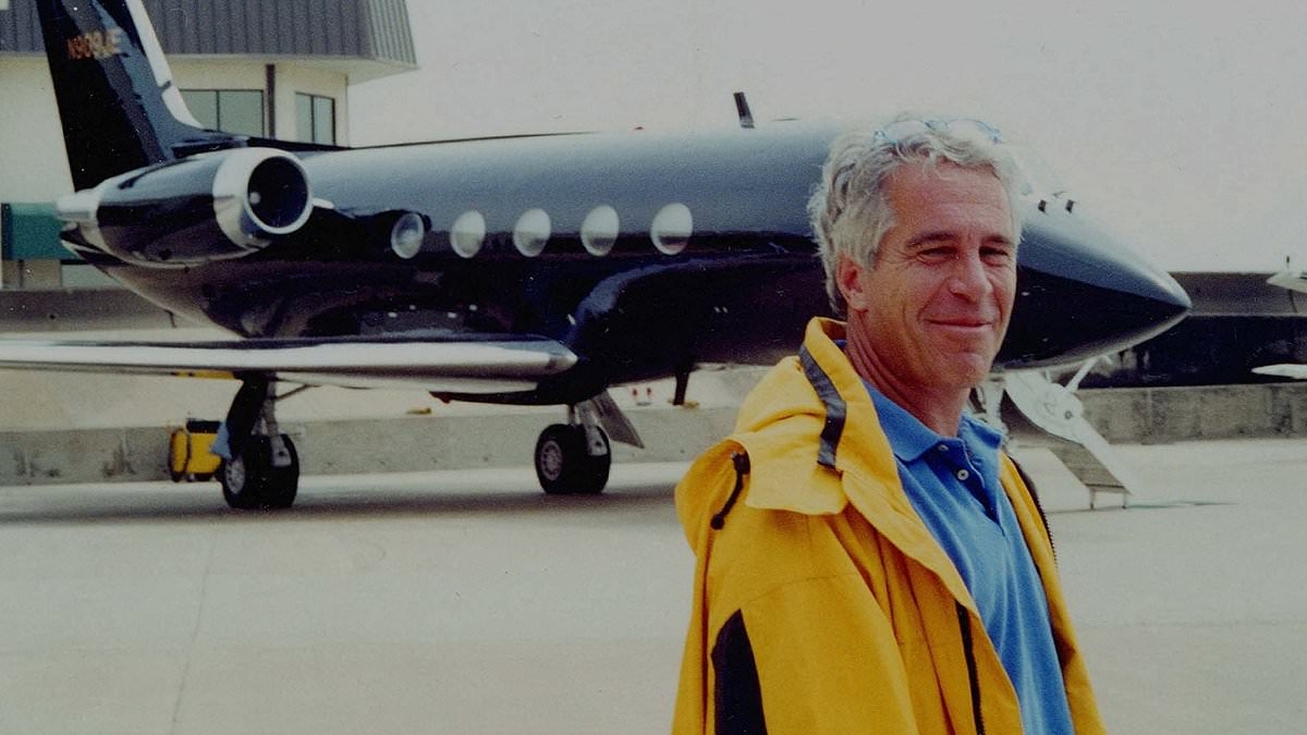 EXCLUSIVE Heavily redacted Epstein flight logs undermine DoJ and Trump's 'transparency' claims and fuel cover-up claims