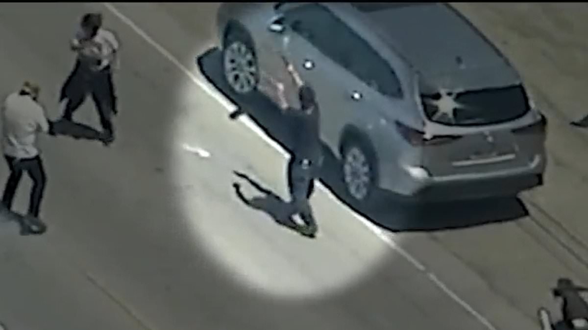 Massive reward offered for capture of rioter who fired on ICE agents during raid of California cannabis farm