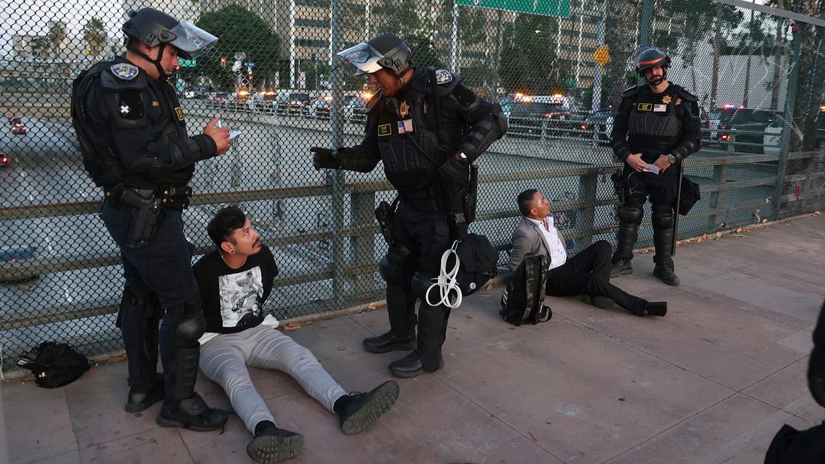 Federal judge issues stunning rebuke to Trump by blocking 'unlawful' ICE detentions in southern California amid wide scale crackdown