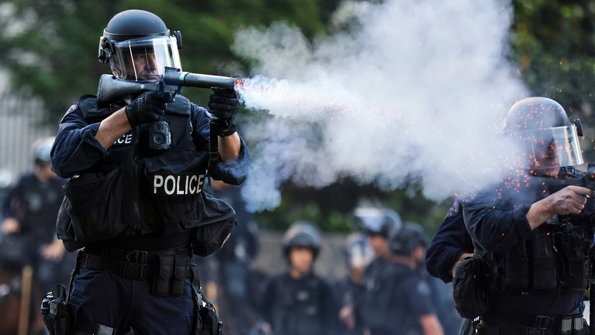 EXCLUSIVE Is Trump's ‘personal Gestapo' turning America into a police state? US president's heavily armed shock troops behind raids on illegal migrants will soon outnumber the FBI