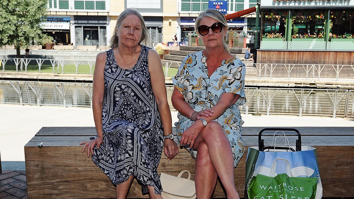 EXCLUSIVE Fury over John Lewis plans to build hundreds of new flats in their town: Locals say they are 'already overwhelmed with plush new tower blocks and gridlocked streets'