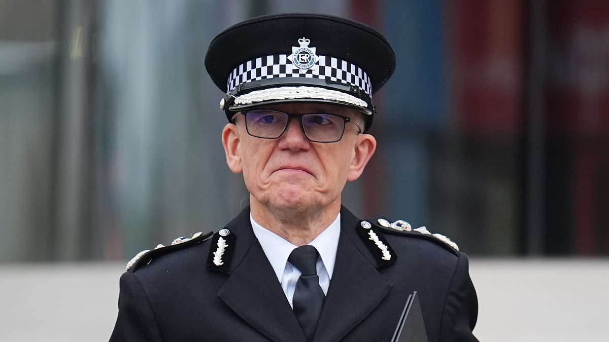 If you dial 999 you CAN expect an officer to attend, but we're pretty stretched, says Met Police chief