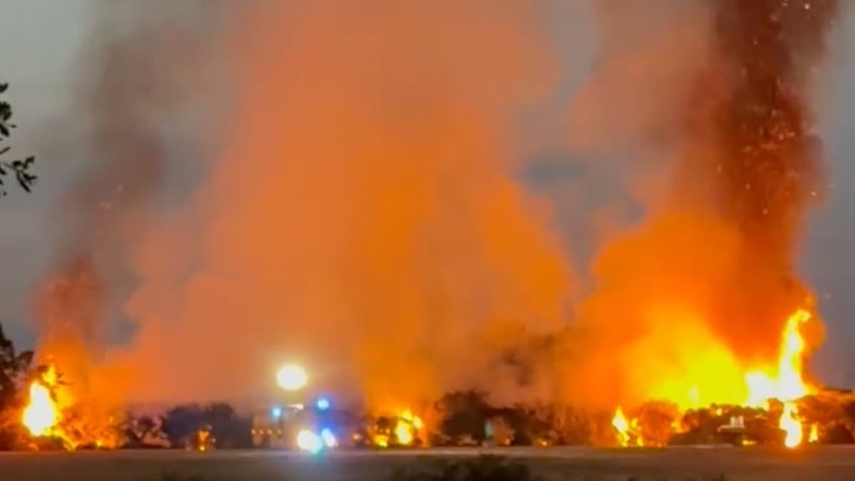 Huge wildfire rages in the New Forest: Ferocious flames tower over fire engines battling to put out blaze