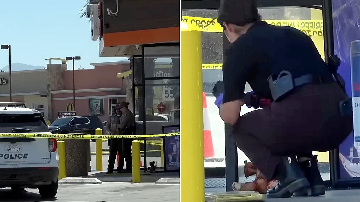 Grizzly discovery as teddy bear 'wrapped in human skin' found dumped in front of convenience store
