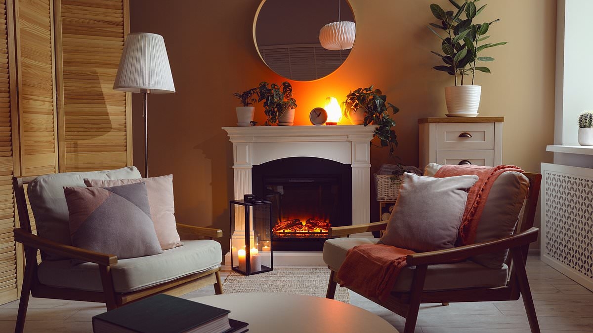 How wood-burning and eco stoves pose serious health risks by causing dangerous indoor air pollution