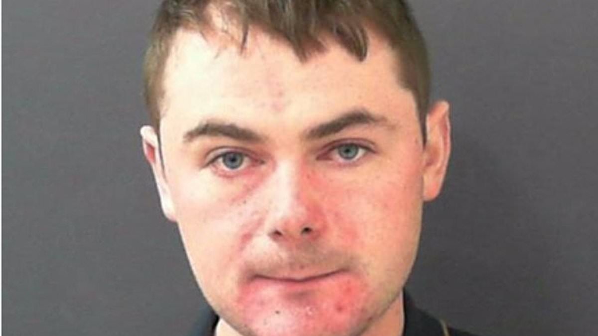 British streaming pirate who made £1million from illegal video sites and blew it on holidays and a £91k Jaguar sports car is jailed for three years