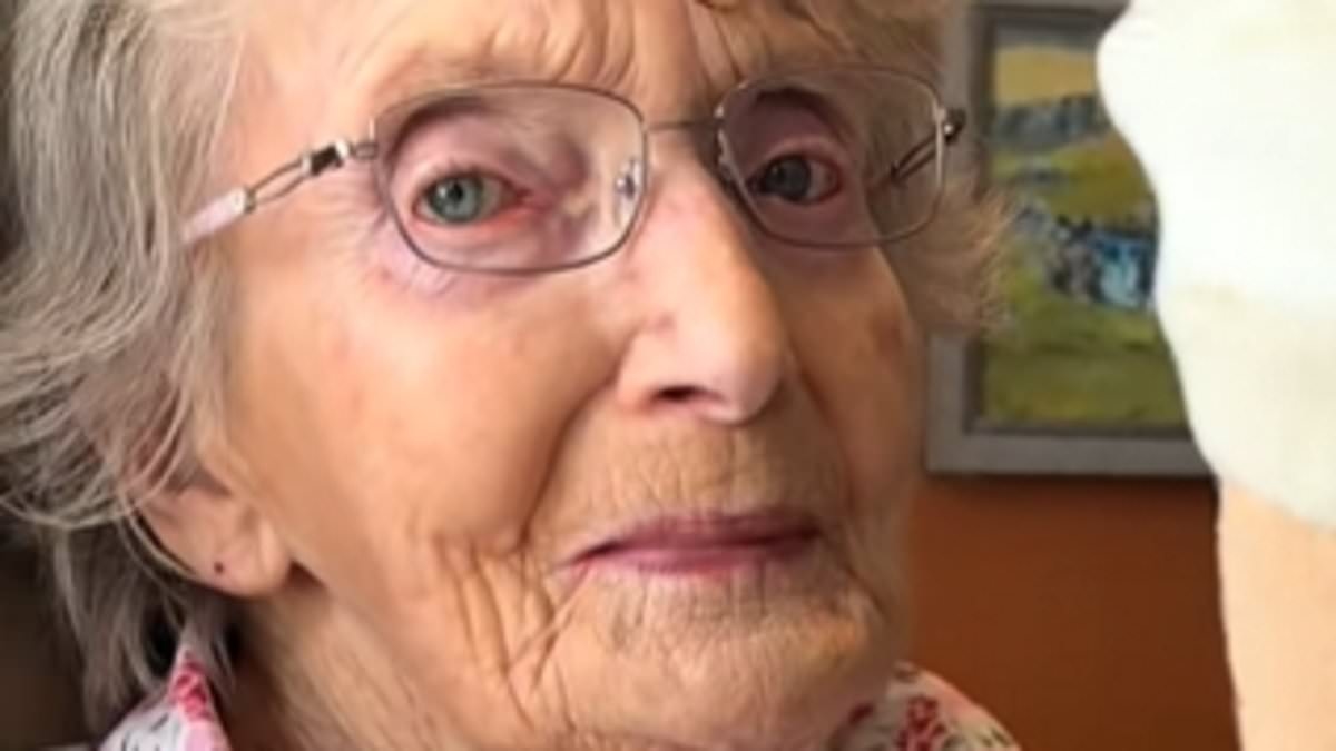 Grandmother, 95, hailed as a 'national treasure' for 'perfect' viral video about her collectable toys