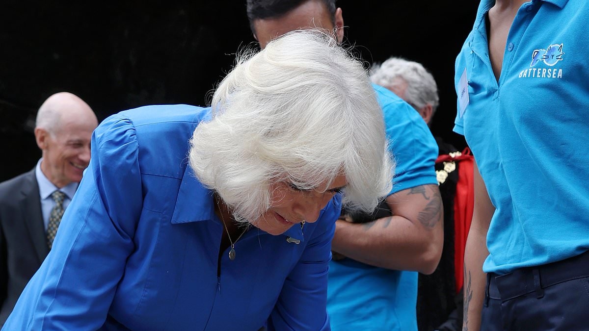 A Queen's best friend! Animal lover Camilla is a hit with the residents at Battersea Dogs' and Cats' Home