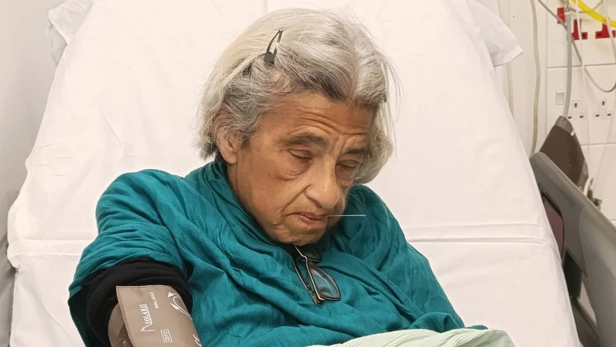 Mother of a British man jailed in Egypt is forced to quit 10-month hunger strike... and now faces life-threatening condition