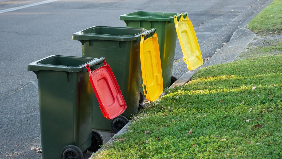 The important recycling rule that most Aussies break on bin night