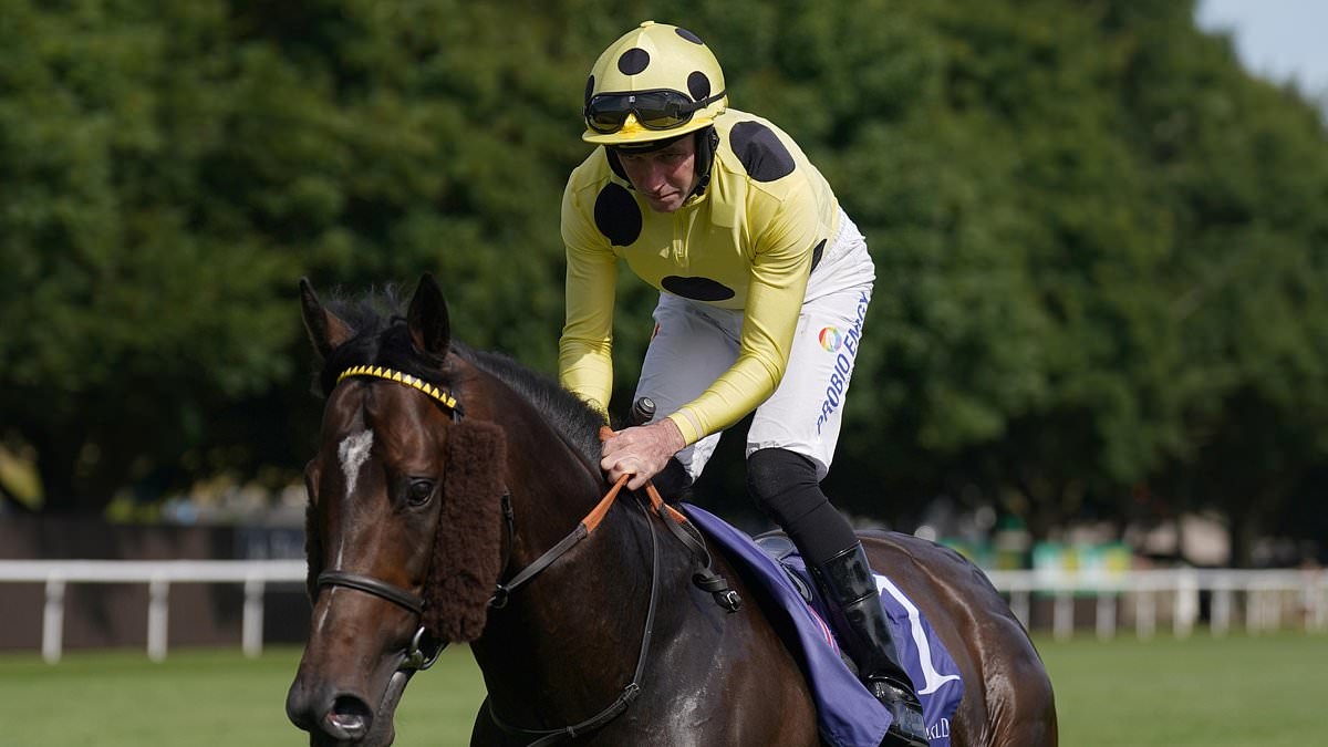 Robin Goodfellow's racing tips: Best bets for Tuesday, July 15