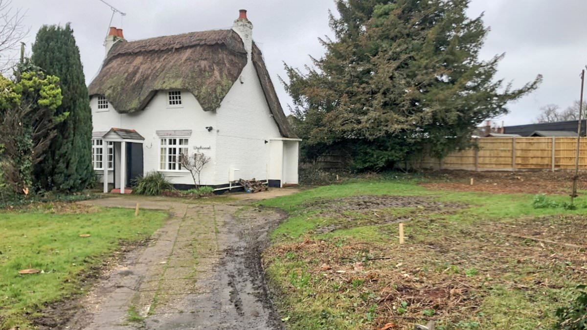 Owner of 300-year-old thatched cottage reveals why she knocked it down without planning permission - and tells of her 'deep regret' after demolition sparked outrage