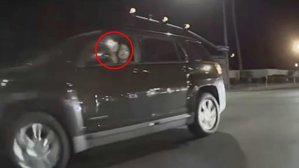 Road rage Karen filmed opening fire on car with child inside gets very satisfying punishment