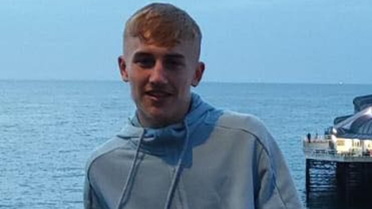 Balaclava-clad teen with 'unhealthy interest' in blades 'grinned' as he stabbed 18-year-old through the heart with a Rambo knife, court hears