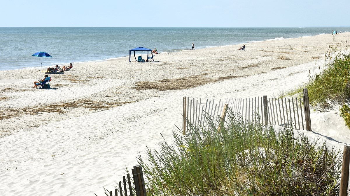 North Carolina teenager suffers unimaginable horror while sunbathing at the beach