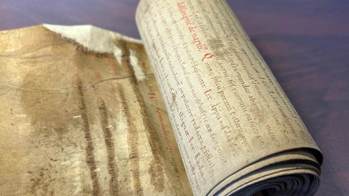 The weirdest medieval medicines you could try today…if you dare: Scientists say Dark Age cures were 'way more sophisticated' than we thought - so, would YOU try lizard shampoo?