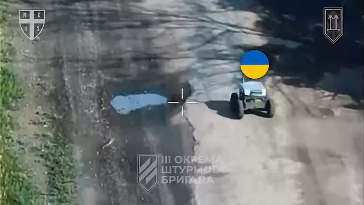 Russian soldiers surrender to Ukrainian patrol made up of robots