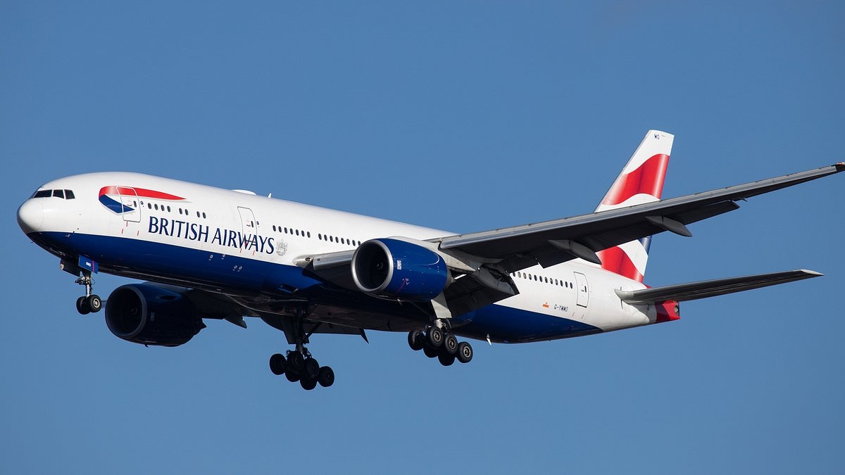 Mid-air emergencies on two flights 60 seconds apart spark travel chaos at major UK airport