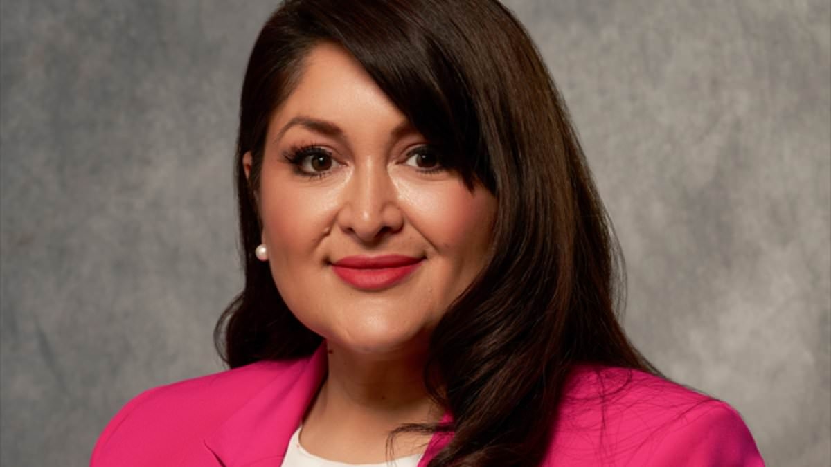 California lawmaker breaks silence after controversial ICE comments