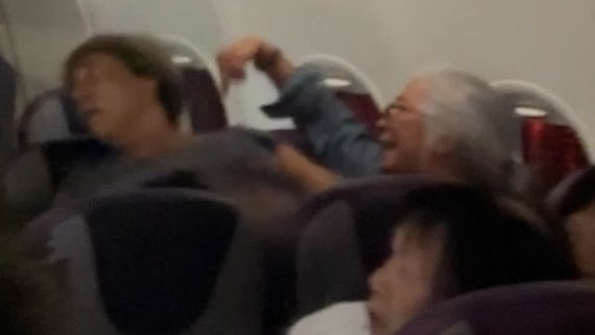 It's all kicking off! Shocking moment Elderly woman screams foul-mouthed rant at parents after their toddler kicked the back of her seat, sparking mid-air row