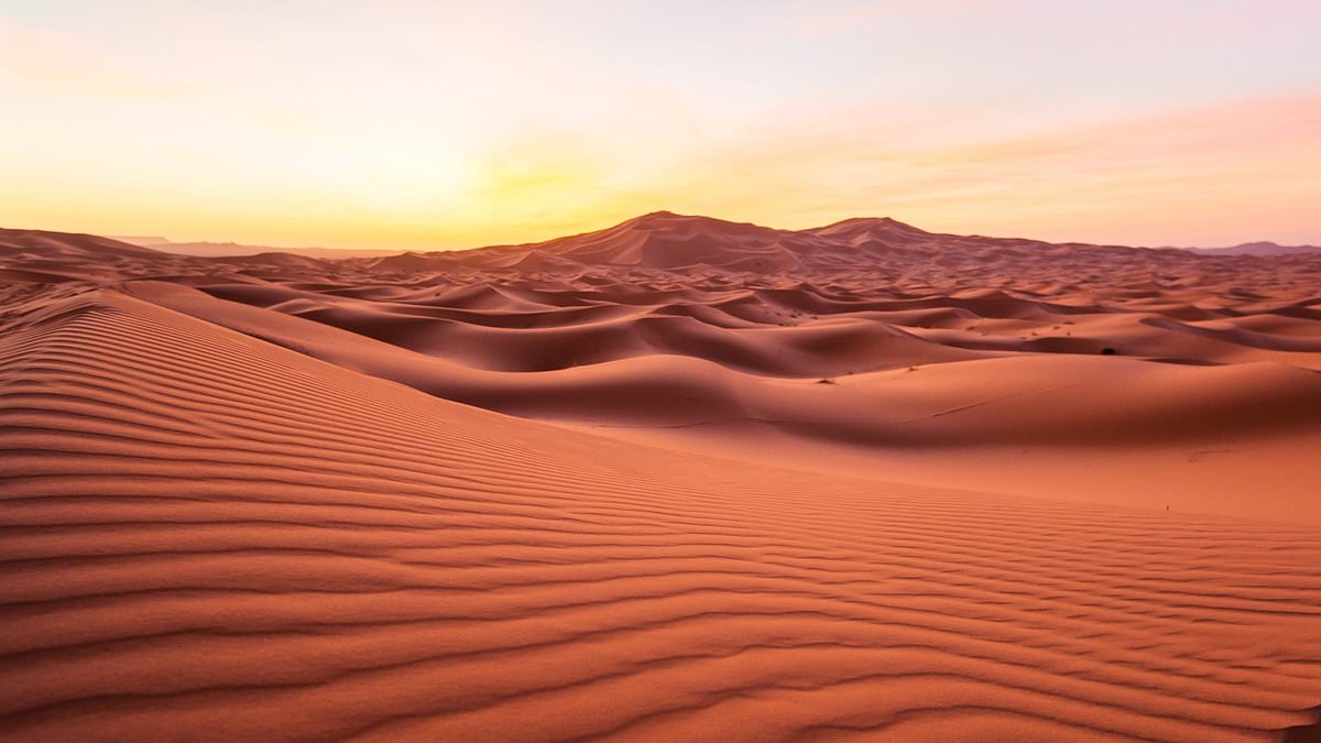 Couple 'planned to travel to Morocco to sacrifice their five-year-old son in the desert'