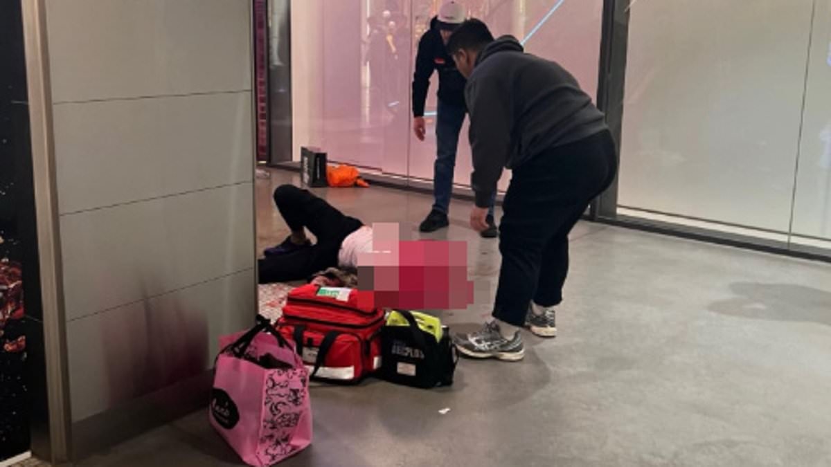 BREAKING NEWS Accused thief critical after jumping over a railing and plunging six metres in Westfield Sydney CBD