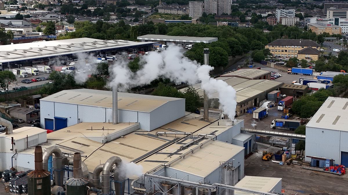 Disgusted locals living nightmare as 'blood red' gunge rains down from giant incinerator used to cremate zoo animals and beached whales