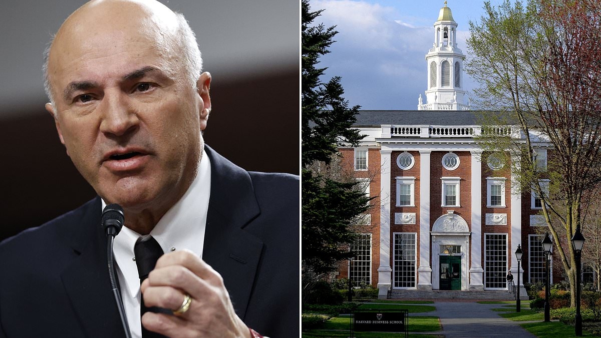 Shark Tank's Kevin O'Leary warns against EVER doing this job: 'Slow drift into hell'